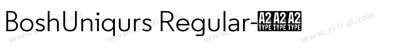 BoshUniqurs Regular字体转换